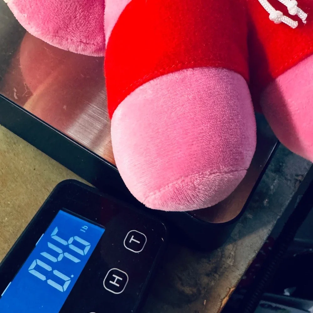 BT21 Cooky Plush Toy 12in Pink  Red Shorts Jungkook Bunny